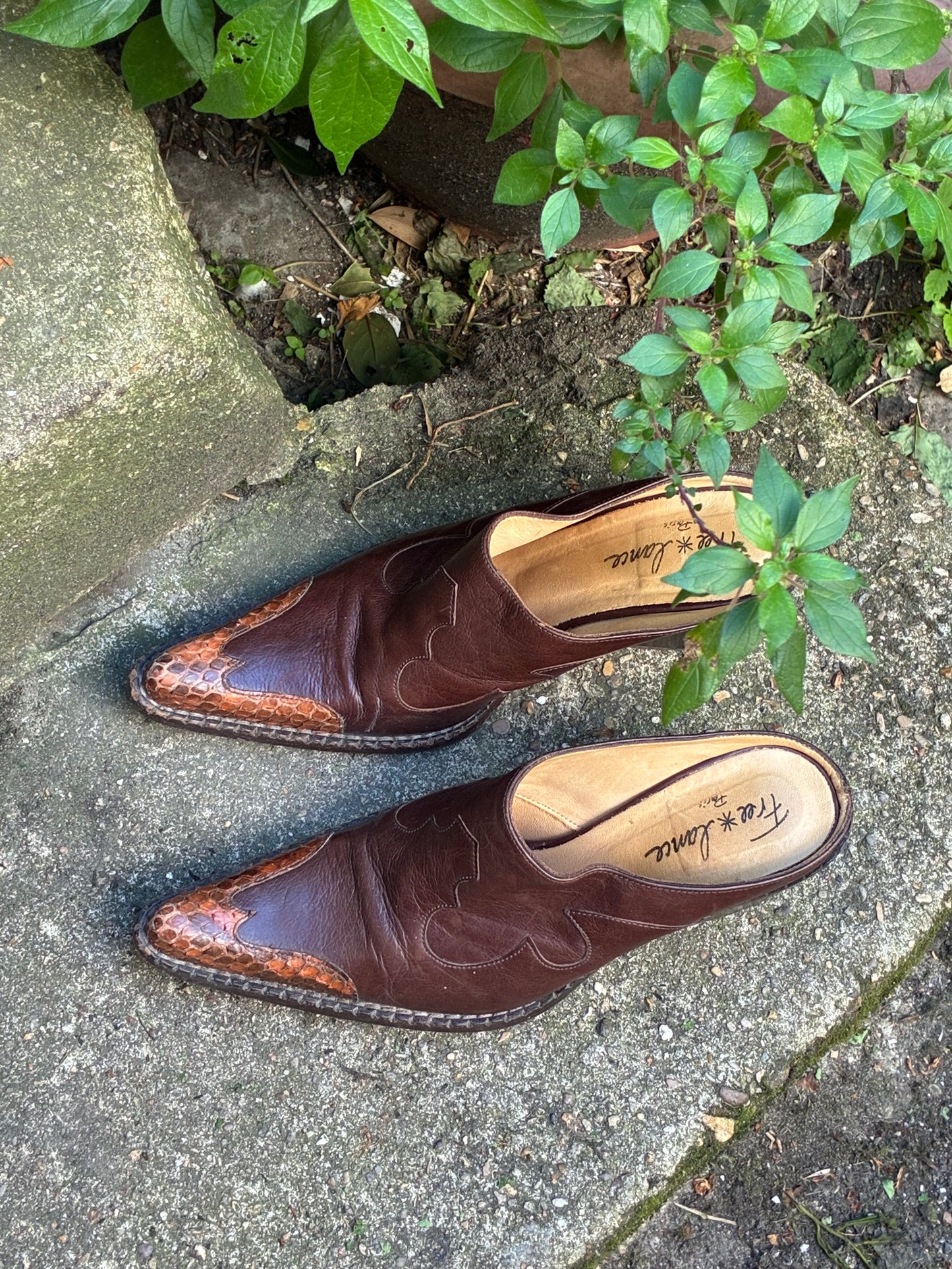 cow boy mules